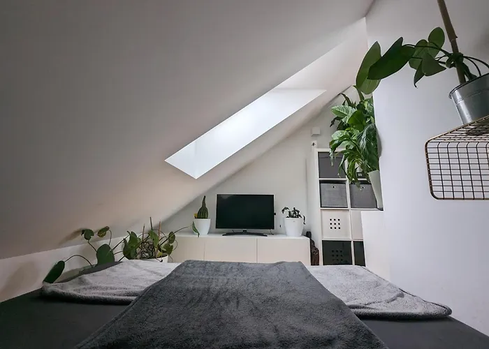 Citypenthousestay With Terrace And Whirlpool Near Center Διαμέρισμα