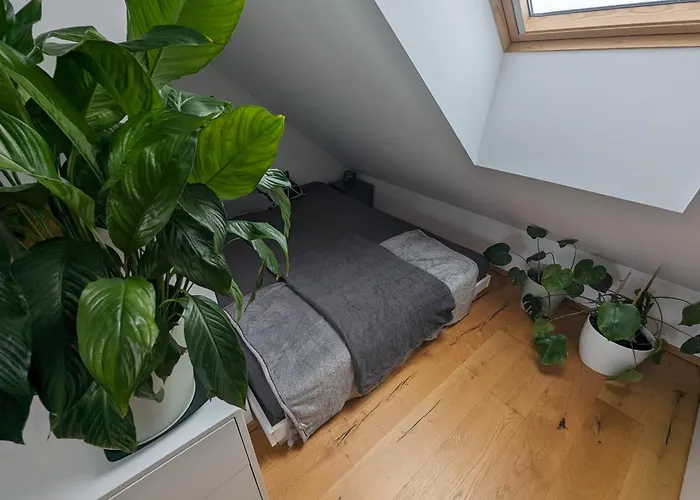 Διαμέρισμα Citypenthousestay With Terrace And Whirlpool Near Center