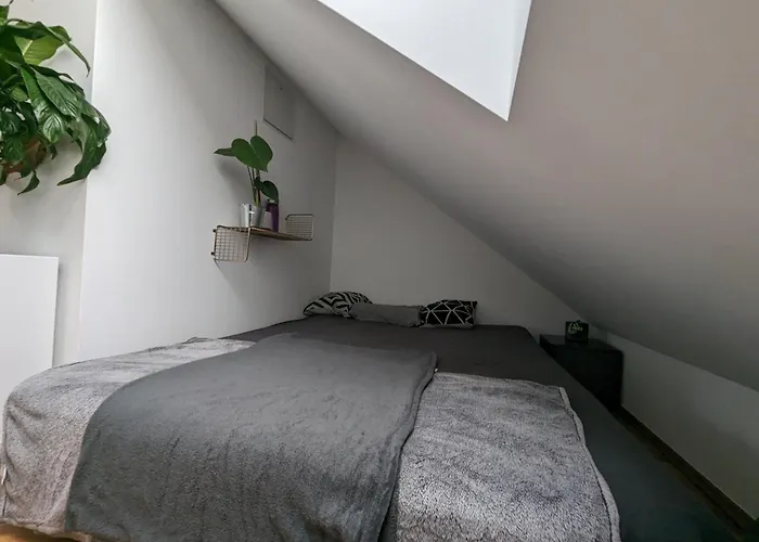 Citypenthousestay With Terrace And Whirlpool Near Center Διαμέρισμα